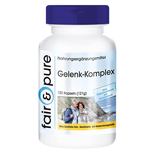 Glucosamina Complex - Glucosamina y Condroitina + MSM y Astaxantina - Complejo para las articulaciones - 120 Cápsulas