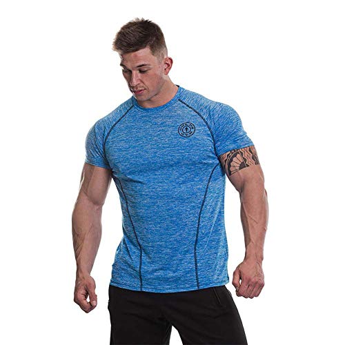 Gold's Gym GGTS060 - Camiseta de Manga Corta para Entrenamiento de Hombre, Transpirable, Rendimiento raglán, GGTS060, Hombre, Color Marl Azul, tamaño Large