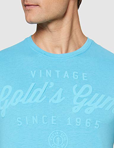 Gold's Gym GGTS064 - Camiseta de Entrenamiento para Hombre, Camisetas, Hombre, Color Marl Azul, tamaño Large