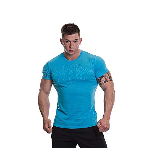 Gold's Gym GGTS064 - Camiseta de Entrenamiento para Hombre, Camisetas, Hombre, Color Marl Azul, tamaño Large