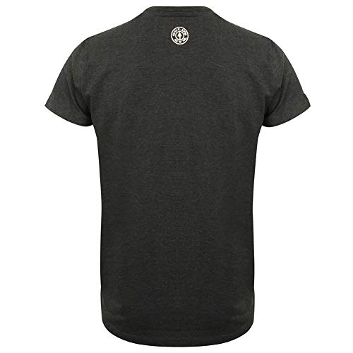 Gold's Gym UK - Camiseta de Manga Corta para Hombre, diseño Retro, Hombre, Camiseta de Estilo Vintage, GGTS067_Charm_L, Gris Oscuro, L