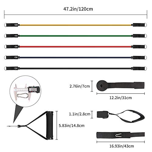 GRDE Bandas Elasticas Musculacion 100% Látex Natura Bandas de Resistencia con 5 Diferentes Niveles de Resistencia Antideslizante Y Duradero Adecuado Mujer Hombre Piernas Glúteos Brazo Ejercicios