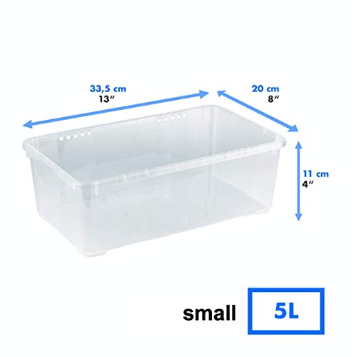 Grizzly 3 x Caja de Almacenaje con Tapa de 5 L - Cajón de Plástico Transparente Apilable - Caja Multiusos Organizador de Armarios para Ordenación de Ropa