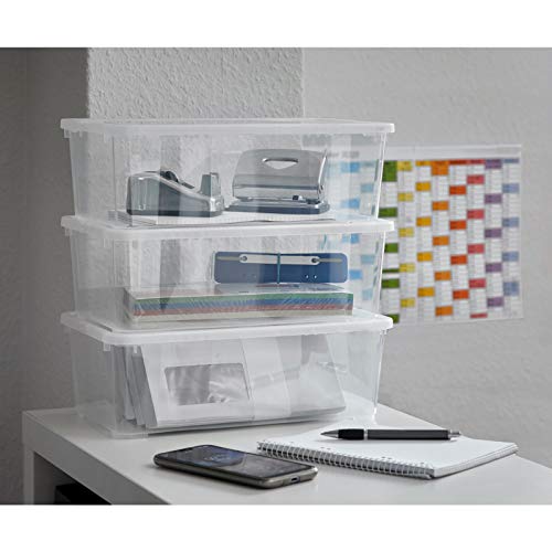 Grizzly 3 x Caja de Almacenaje con Tapa de 5 L - Cajón de Plástico Transparente Apilable - Caja Multiusos Organizador de Armarios para Ordenación de Ropa