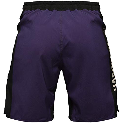 Hardcore Training Fight Shorts Men's Recruit Pantalones Cortos Hombre Negro Rojo Azul Púrpura Verde Boxeo MMA BJJ Fitness Artes Marciales (Blue, XL)