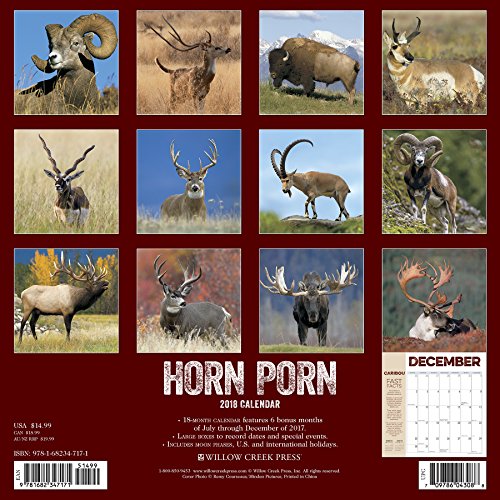 Horn Porn 2018 Wall Calendar