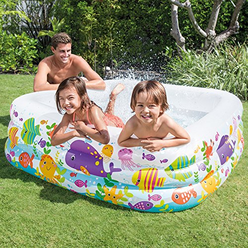 Intex 57471NP - Piscina hinchable acuario, 159 x 159 x 50 cm, 340 litros