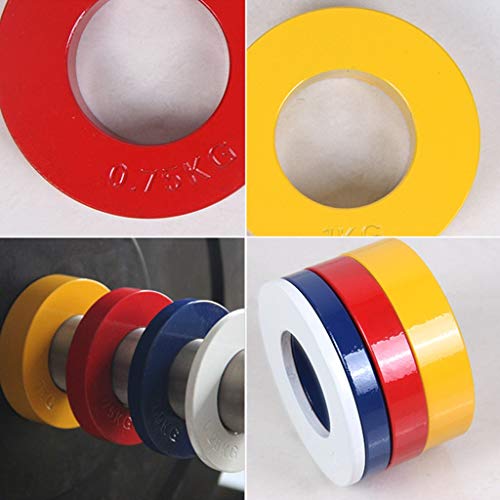 Jiande Placas fraccional Peso Olympic Juego de 2 Placas - 0,25 kg 0,5 Kg 0,75 Kg Placas fraccional Peso diseñado for Olympic Barbells (Size : White 0.25kg)