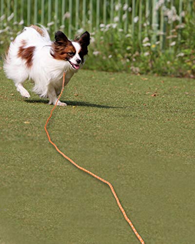 Joytale Correas Adiestramiento para Perros Correa de Perro,Cuerda Nylon Largo Mascota Perro Formación Correa de Entrenamiento,15m