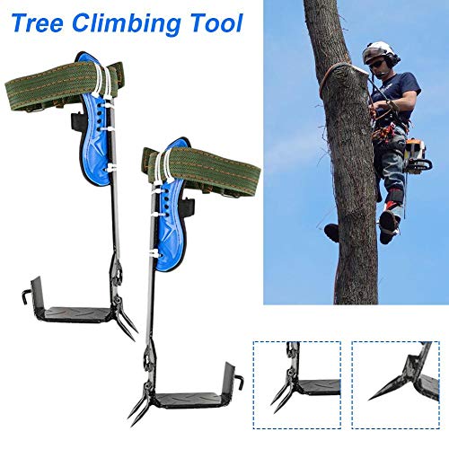 Juego de puntas de escalador de árbol actualizado de 2 piezas, cinturón de seguridad para el trabajo del árbol, espuelas de escalada trepadoras para trepar a los árboles, recolección de frutas, etc.