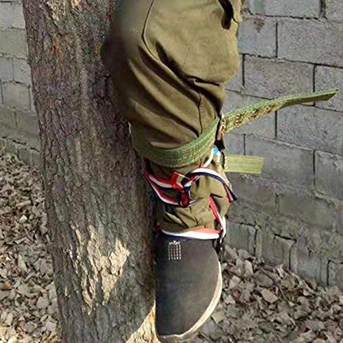 Juego de puntas de escalador de árbol actualizado de 2 piezas, cinturón de seguridad para el trabajo del árbol, espuelas de escalada trepadoras para trepar a los árboles, recolección de frutas, etc.