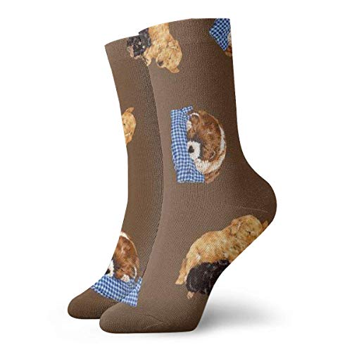 Kevin-Shop Calcetines de compresión clásicos, Calcetines Deportivos para Perros Stock Photo Sport Athletic Calcetines Largos de 11.8 Pulgadas (30 cm) para Hombres Mujeres