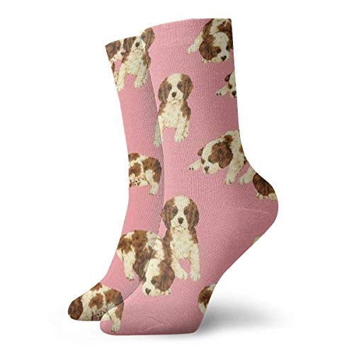 Kevin-Shop Calcetines de compresión clásicos, de Perro Stock Photo Sport Athletic Calcetines Largos de 11,8 Pulgadas (30 cm) para Hombres Mujeres