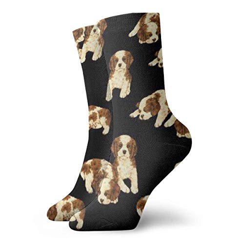 Kevin-Shop Calcetines de compresión clásicos, de Perro Stock Photo Sport Athletic Calcetines Largos de 11,8 Pulgadas (30 cm) para Hombres Mujeres