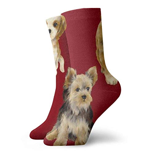 Kevin-Shop Calcetines de compresión clásicos, de Perro Stock Photo Sport Athletic Calcetines Largos de 11,8 Pulgadas (30 cm) para Hombres Mujeres