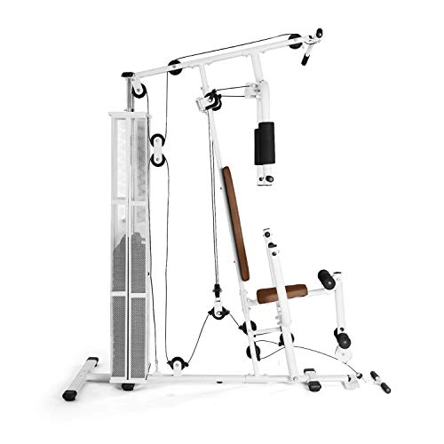 Klarfit Ultimate Gym 3000 White Edition - Multiestación de musculación, Entrenamiento Fitness, Ejercicios de Remo, Hombros, Espalda, Brazos, isquiotibiales y glúteos, Acolchada, Baja fricción, Blanco