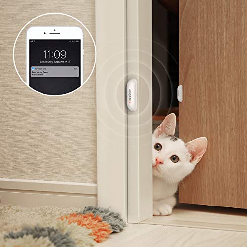 Koogeek Sensor de Puerta Wifi, Notificación Inteligente de APP Control Remoto, funciona con Alexa/Google Home, Sistema de seguridad para el hogar, IOS y Andriod, no Hub con 2.4 Ghz WIFI