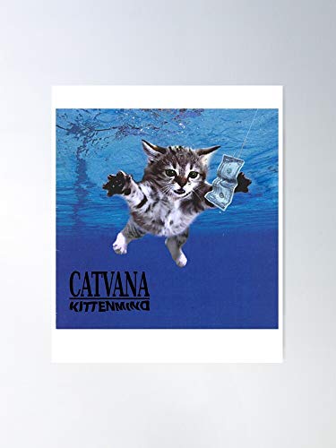 kurt cute nirvana cobain cat kitten nevermind kittenmind music grunge El póster de decoración de interiores más impresionante y elegante disponible en tendencia ahora