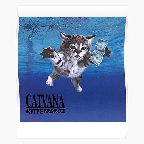 kurt cute nirvana cobain cat kitten nevermind kittenmind music grunge El póster de decoración de interiores más impresionante y elegante disponible en tendencia ahora