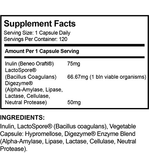 LactoSpore® (Bacillus Coagulans) Plus de LLS | Probióticos | 15 mil millones de UFC por gramo | 120 Cápsulas - Suministro para 4 meses | Incluye Enzimas Digestivas e Inulina Prebiótica
