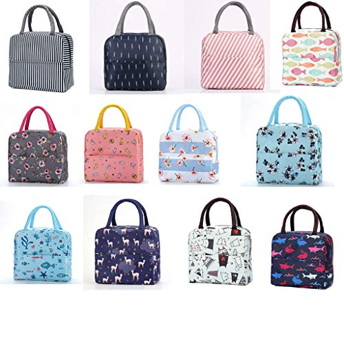 LEEDY Diagonal bag handbag LEDDY - Bolsa de almuerzo impermeable de gran capacidad, estilo simple, para mujer, color, talla Talla única