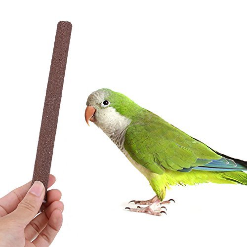 Legendog Perca de Pájaro, 5PCS Palo para Pájaros, Juguetes para Pajaros, Columpio de Pájaros (Perca)