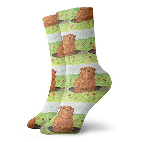 leyhjai Unisex Cute Funny Casual Cotton Crew 3D Print Cat Burger Work Sport Calcetines de fútbol al aire libre