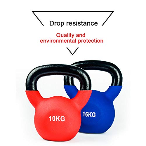 LIUYUE Pesas Rusas, Kettlebell De Hierro Fundido Kettlebell Profesional Fitness Kettlebells Competitivo Kettlebells Fitness Workout Squat Equipment-Azul-16kg