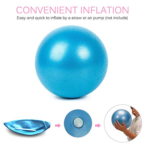 Lixada Pelota de Yoga 25cm Grueso Estabilidad Anti-explosión Pelota de Pilates Mini Barre Pelota Fisica