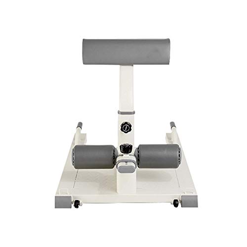 LSYOA Máquina de Sentadillas, Multifuncional Sissy Squat Ajustable Cardio Pierna Ejercitador Formación Máquina, para Culturismo, Aptitud, Halterofilia,Gray