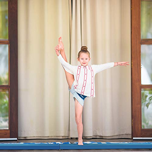 LUDOSPORT 240cm/10cm Viga de Equilibrio de Gimnasia Plegable, Barra de Equilibrio Antideslizante para Niños, Principiantes y Gimnastas Profesionales, para hogar y jardín, color azul