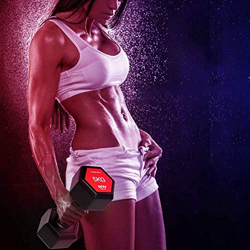 Mancuerna Hexágono Home Fitness Equipment Accesorios Salud Deportes Pesas Mancuernas para Muscular Altere Musculatio Peso Barras Discos Aptitud Bíceps para La Formación,2kg*2