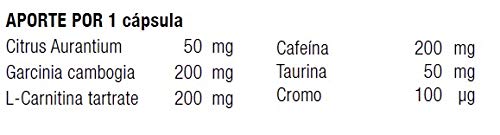 MEGA PLUS FAT BURNER FLASH - Complemento alimenticio a base de Carnitina - 90 Cápsulas