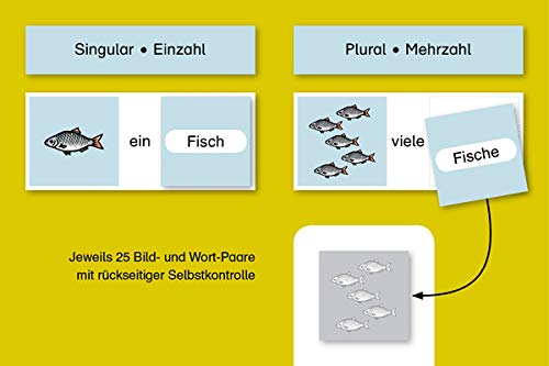 Meine Grammatikdose 1 - Singular-Plural - Einfache Wörter: 25 Bild- und Wort-Paare mit rückseitiger Selbstkontrolle in der Box