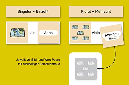 Meine Grammatikdose 2 - Singular-Plural - Schwierige Wörter: 25 Bild- und Wort-Paare mit rückseitiger Selbstkontrolle in der Box