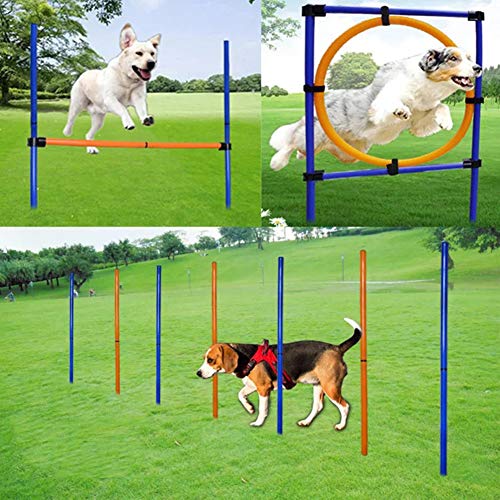 MelkTemn Set de Entrenamiento de Agilidad de Perros, Jump Hoop Dog Agility Starter Equipment, Obstáculos para el Entrenamiento de la coordinación para Perros al Aire Libre