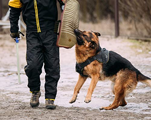 MelkTemn Set de Entrenamiento de Perros, Entrenamiento de Mascotas Mordedura de Cachorros, Entrenamiento De Mordeduras De Perros Manga De Protección para Perro Joven o Adulto Manga