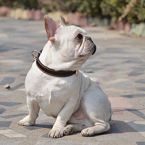 Mihqy Collar de Perro de Cuero Personalizado,Placa de Identificación Grabada con Nombre y número de Teléfono Grabado con láser,Ajustable, Perros pequeños, medianos y Grandes