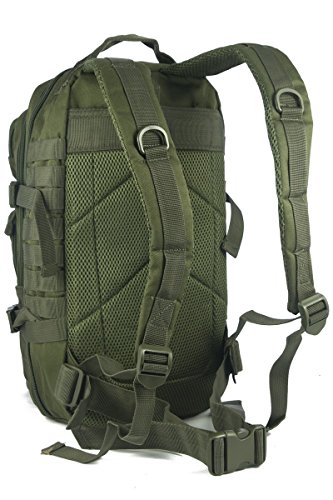 Mil-Tec EE.UU. Mochilla Assault Pack (Small/Oliva)