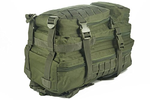 Mil-Tec EE.UU. Mochilla Assault Pack (Small/Oliva)