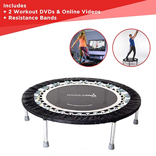 MXL MaXimus Life Pro Gym rebounder - Cama Elástica, Trampolín, Incluye DVD. Mini trampolín Fitness, Cama elástica Fitness