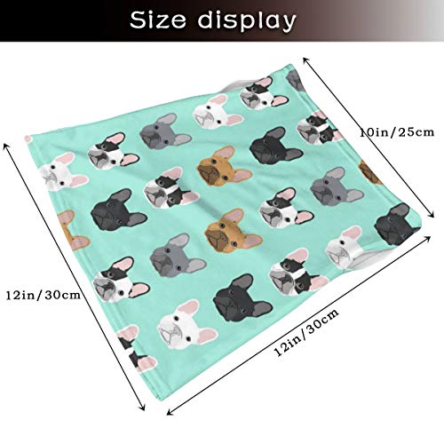 NE French Bulldog Blue 20cmx30cm Bandana para Hombre y Diadema Deportiva Ideal para Correr, Hacer Ejercicio, Tenis, Karate