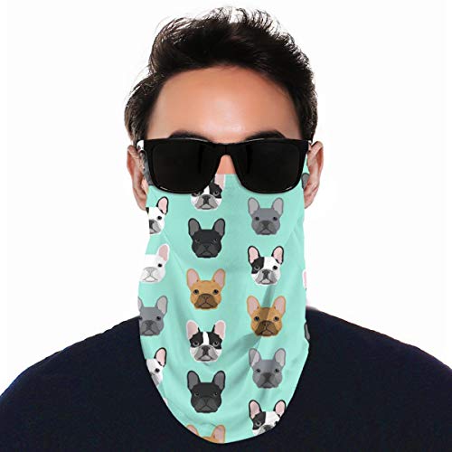 NE French Bulldog Blue 20cmx30cm Bandana para Hombre y Diadema Deportiva Ideal para Correr, Hacer Ejercicio, Tenis, Karate