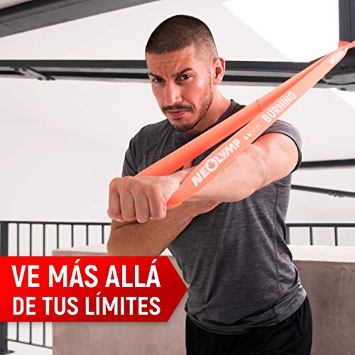 NEOLYMP Banda DE Fitness Premium para lOS Profesionales + GARANTÍA de 5 años + Ancla para Puerta, Banda ELÁSTICA, Banda Entrenamiento para Pilates de 5 (Azul/Verde/Naranja/Rojo/Negro