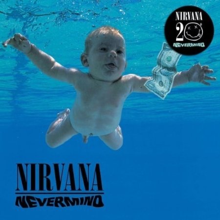 Nevermind : 20Th Anniversary Deluxe Album (Remastered)