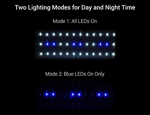 NICREW ClassicLED Luz LED Acuario, Pantalla LED Acuario, Iluminación LED para Acuarios Plantados Lámpara LED para Peceras 30-48 cm, 6W, 7000K