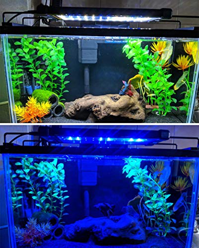 NICREW ClassicLED Luz LED Acuario, Pantalla LED Acuario, Iluminación LED para Acuarios Plantados Lámpara LED para Peceras 30-48 cm, 6W, 7000K