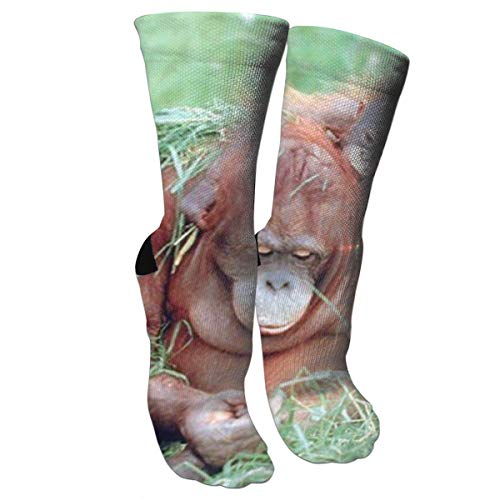 Nifdhkw Orangutan and Baby Wildlife Animal Nature Fashion Stylish Knee High Socks for Women and Men-Fitness Novelty Crew Athletic Socks Comfortable Knee High Sock