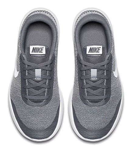 Nike Flex Experience RN 7 (GS), Zapatillas de Running Unisex Adulto, Gris (Wolf Grey/White/Cool Grey 003), 39 EU