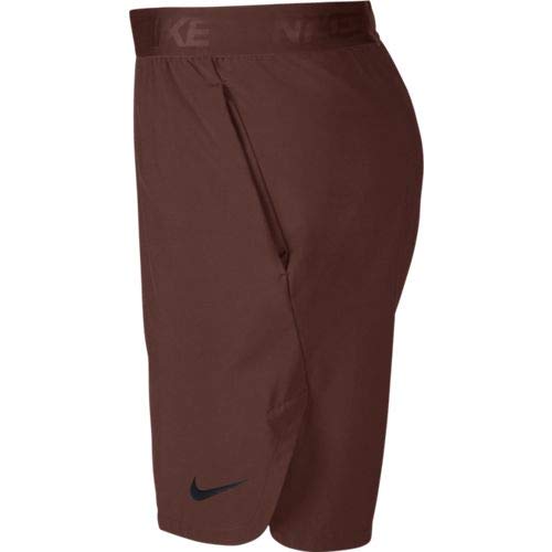 NIKE Flex Pantalón Corto, Hombre, Pueblo Brown/Black, L